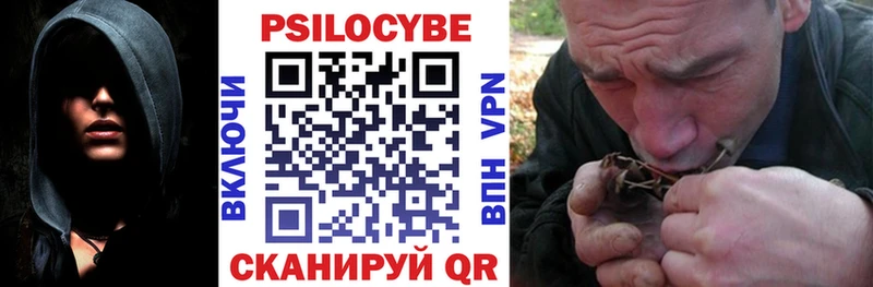 Галлюциногенные грибы Psilocybe Лосино-Петровский
