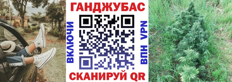 Конопля конопля купить наркоту Лосино-Петровский